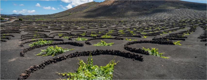 Lanzarote-_3_