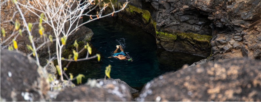 Natural swimming pools