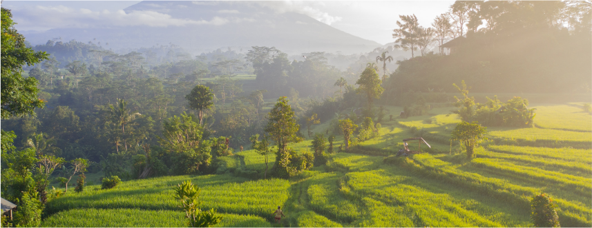 Travel-Bali