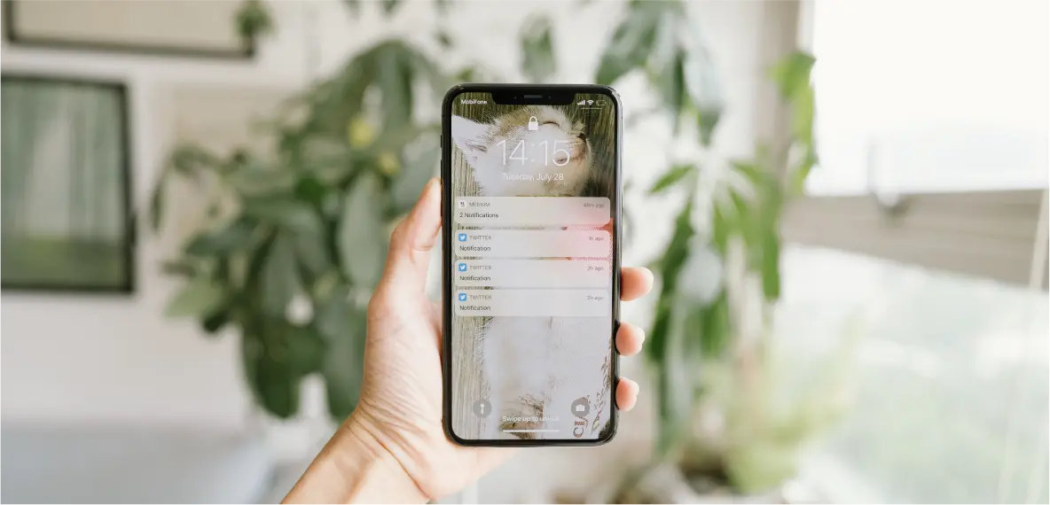 iPhone 15